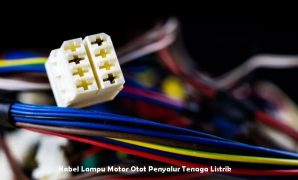 Kabel Lampu Motor Otot Penyalur Tenaga Listrik Kabel Lampu Motor Otot Penyalur Tenaga Listrik