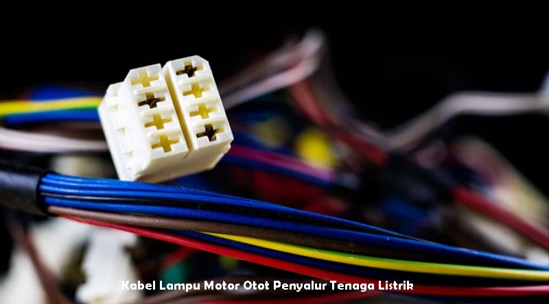 Kabel Lampu Motor Otot Penyalur Tenaga Listrik
